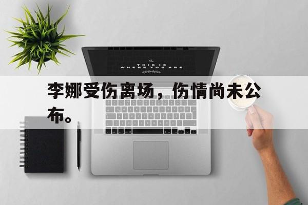 万博manbetx体育-李娜受伤离场，伤情尚未公布。
