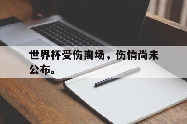 万博max官网-世界杯受伤离场，伤情尚未公布。